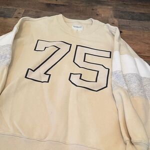 Abercrombie & Fitch Beige and Gray Crewneck Sweater